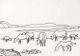"�������"